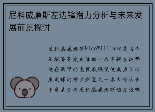 尼科威廉斯左边锋潜力分析与未来发展前景探讨
